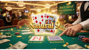 카지노 VIP 프로그램 혜택 관련 분석 이미지